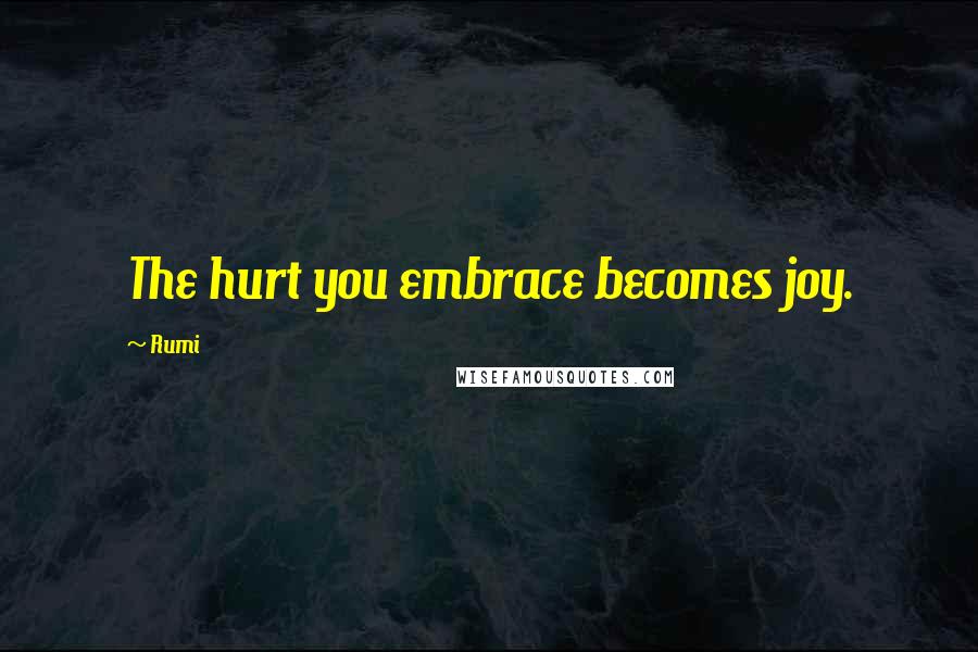 Rumi Quotes: The hurt you embrace becomes joy.