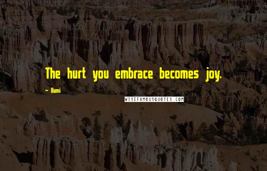 Rumi Quotes: The hurt you embrace becomes joy.