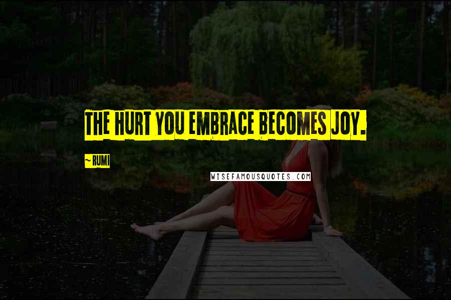 Rumi Quotes: The hurt you embrace becomes joy.