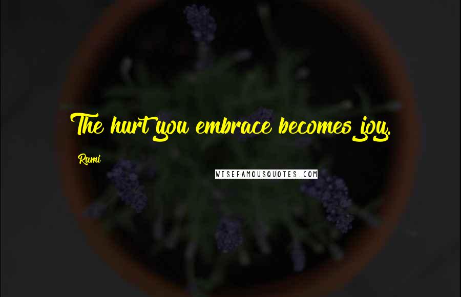 Rumi Quotes: The hurt you embrace becomes joy.