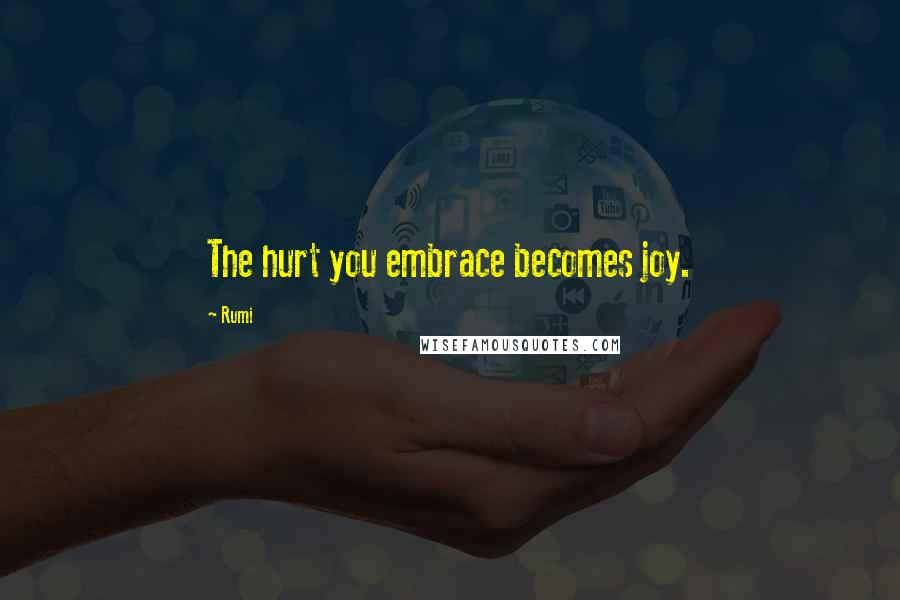 Rumi Quotes: The hurt you embrace becomes joy.
