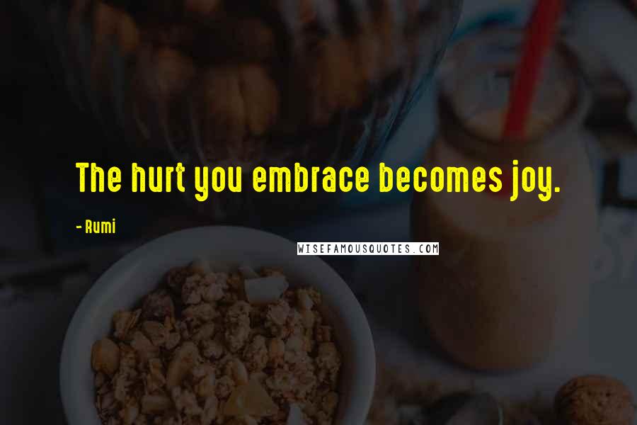 Rumi Quotes: The hurt you embrace becomes joy.