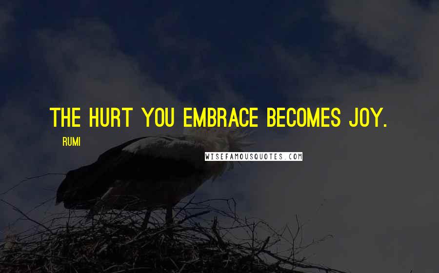 Rumi Quotes: The hurt you embrace becomes joy.