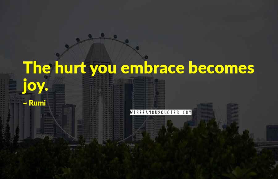 Rumi Quotes: The hurt you embrace becomes joy.