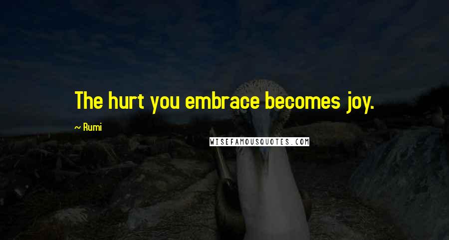 Rumi Quotes: The hurt you embrace becomes joy.