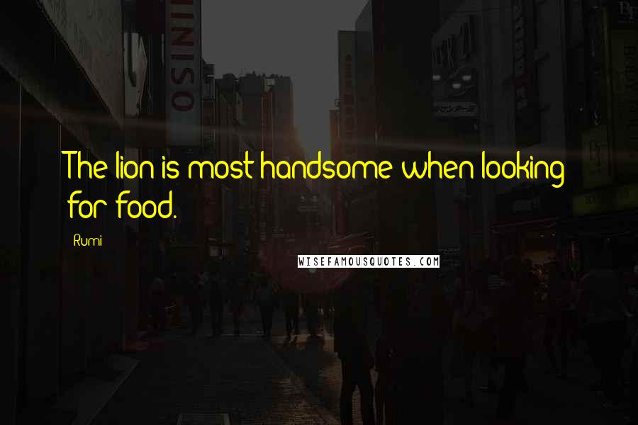 Rumi Quotes: The lion is most handsome when looking for food.