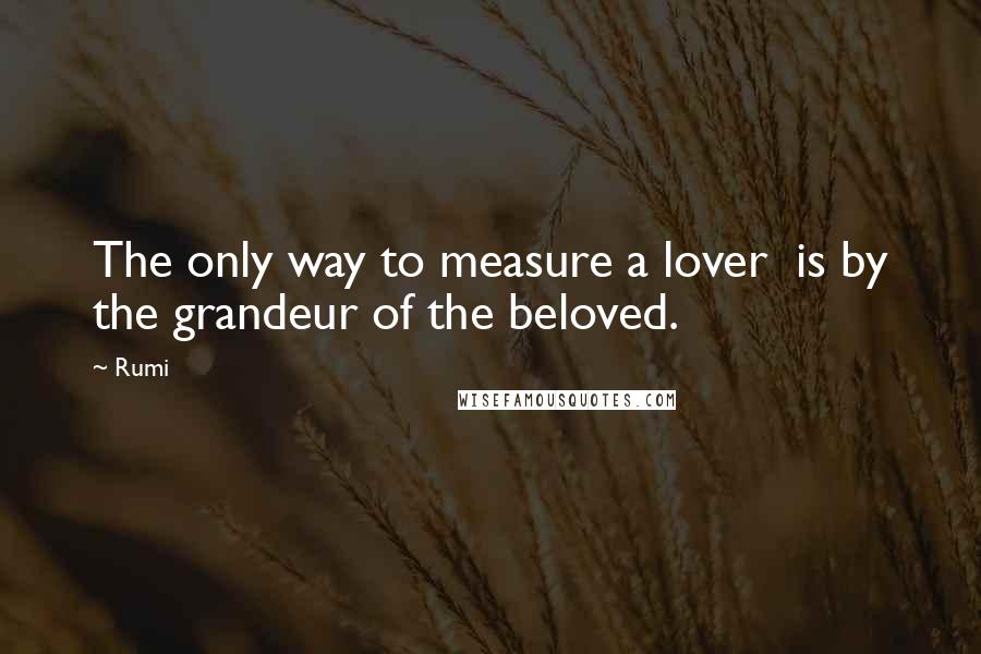 Rumi Quotes: The only way to measure a lover  is by the grandeur of the beloved.