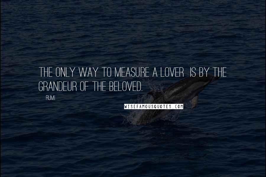 Rumi Quotes: The only way to measure a lover  is by the grandeur of the beloved.