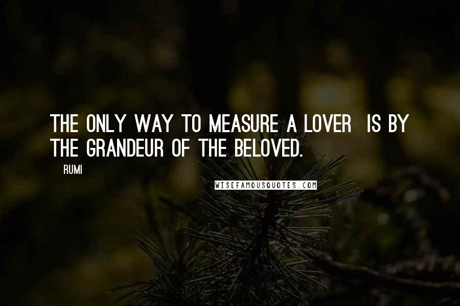 Rumi Quotes: The only way to measure a lover  is by the grandeur of the beloved.