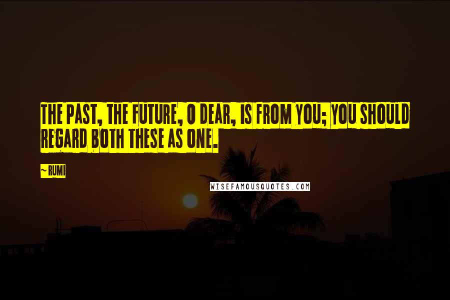 Rumi Quotes: The Past, the Future, O dear, is from you; you should regard both these as one.