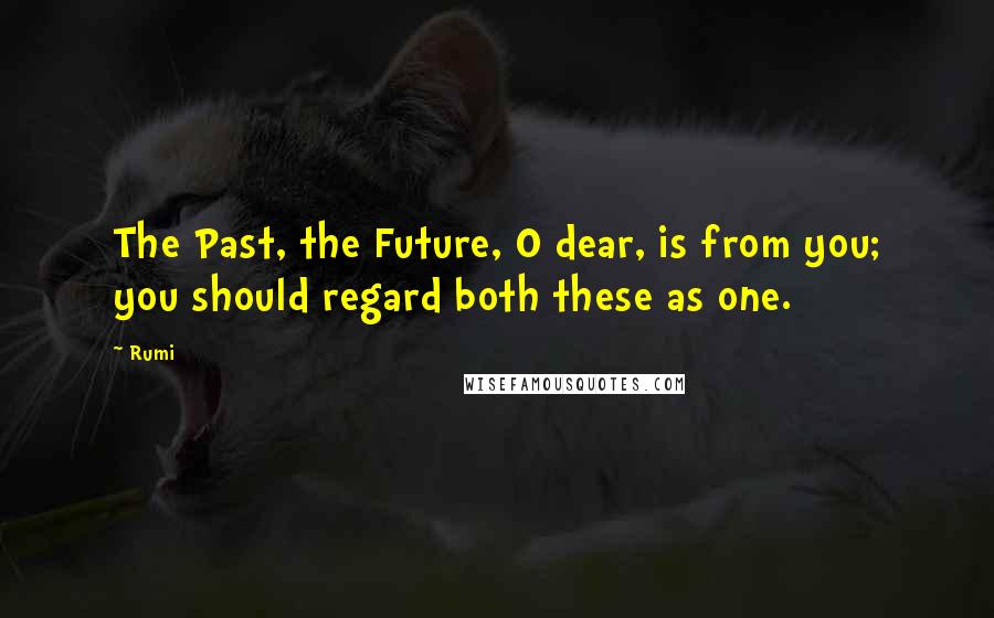Rumi Quotes: The Past, the Future, O dear, is from you; you should regard both these as one.