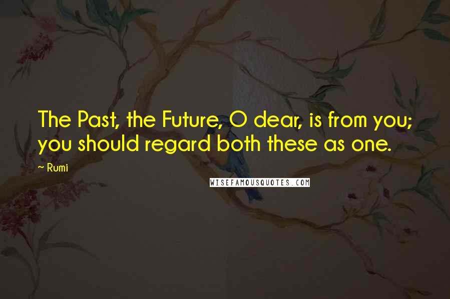 Rumi Quotes: The Past, the Future, O dear, is from you; you should regard both these as one.
