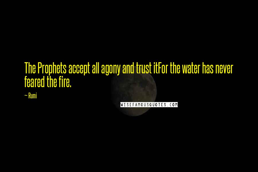 Rumi Quotes: The Prophets accept all agony and trust itFor the water has never feared the fire.