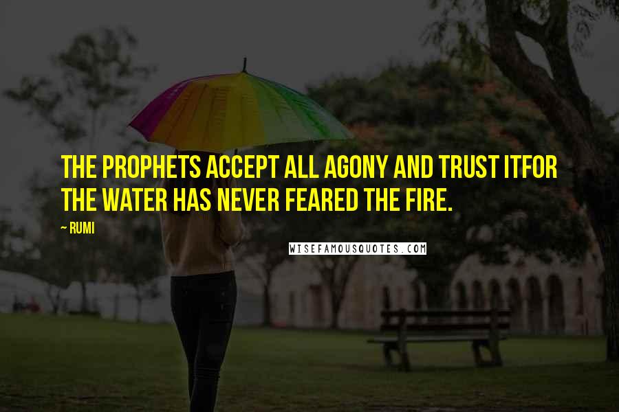 Rumi Quotes: The Prophets accept all agony and trust itFor the water has never feared the fire.