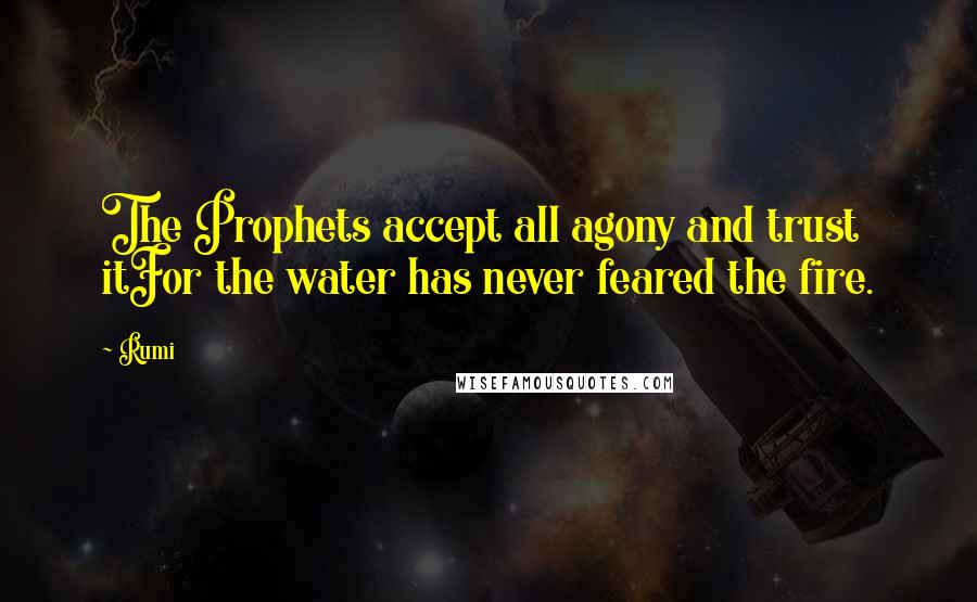 Rumi Quotes: The Prophets accept all agony and trust itFor the water has never feared the fire.