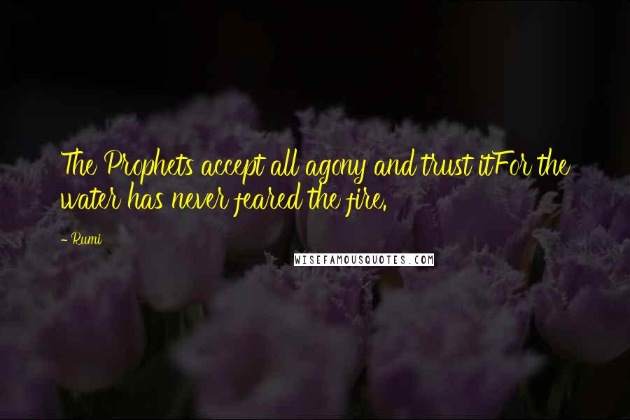 Rumi Quotes: The Prophets accept all agony and trust itFor the water has never feared the fire.