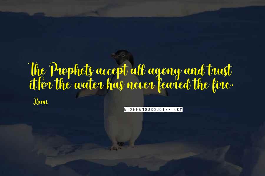 Rumi Quotes: The Prophets accept all agony and trust itFor the water has never feared the fire.