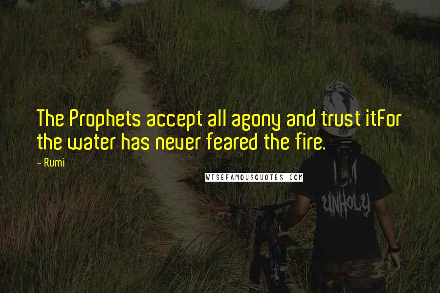 Rumi Quotes: The Prophets accept all agony and trust itFor the water has never feared the fire.