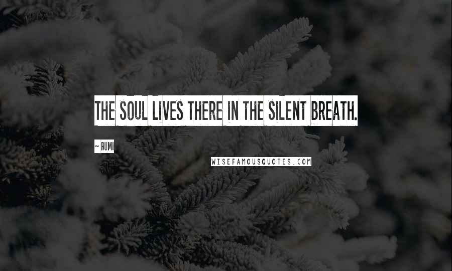 Rumi Quotes: The soul lives there in the silent breath.