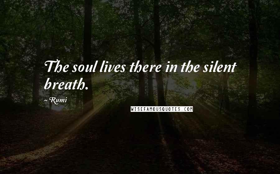 Rumi Quotes: The soul lives there in the silent breath.