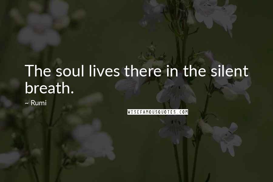 Rumi Quotes: The soul lives there in the silent breath.