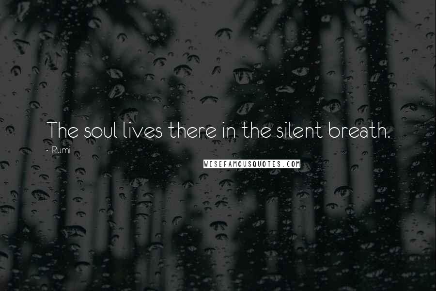 Rumi Quotes: The soul lives there in the silent breath.