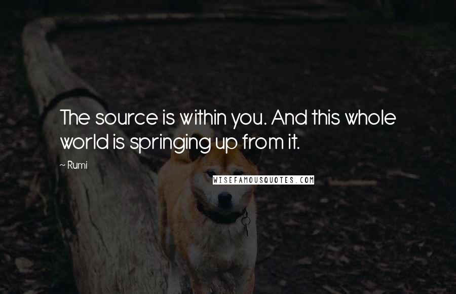 Rumi Quotes: The source is within you. And this whole world is springing up from it.