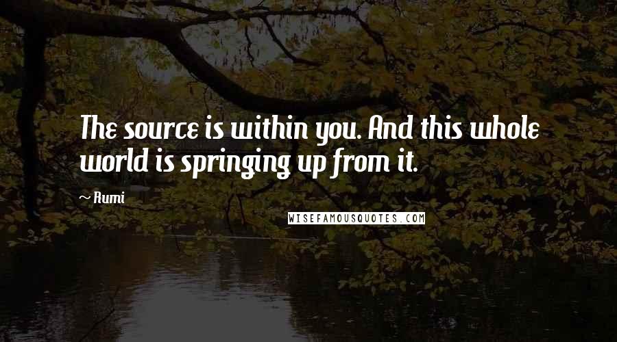 Rumi Quotes: The source is within you. And this whole world is springing up from it.