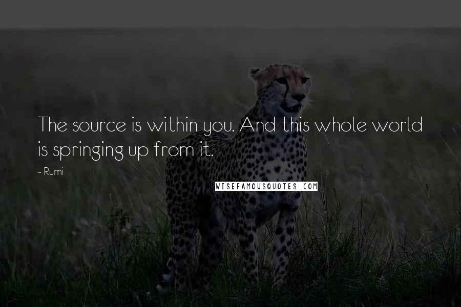 Rumi Quotes: The source is within you. And this whole world is springing up from it.