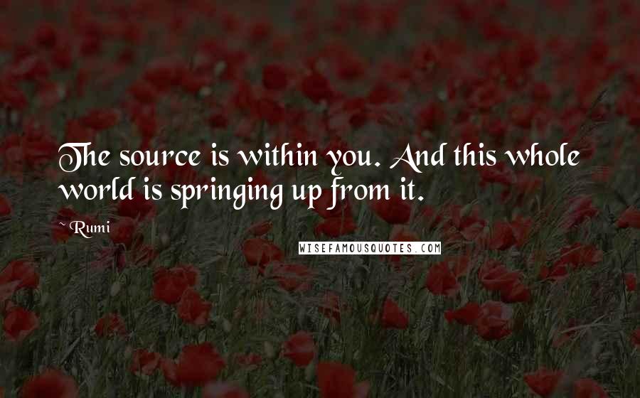 Rumi Quotes: The source is within you. And this whole world is springing up from it.