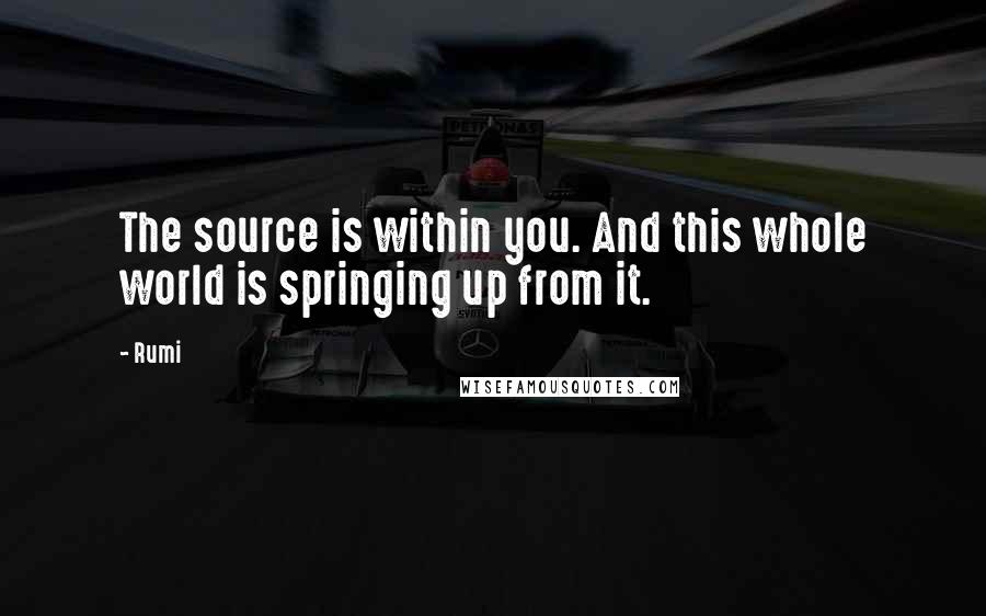 Rumi Quotes: The source is within you. And this whole world is springing up from it.