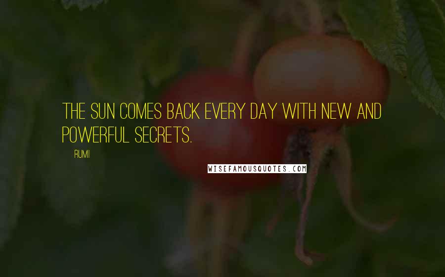 Rumi Quotes: The sun comes back every day with new and powerful secrets.
