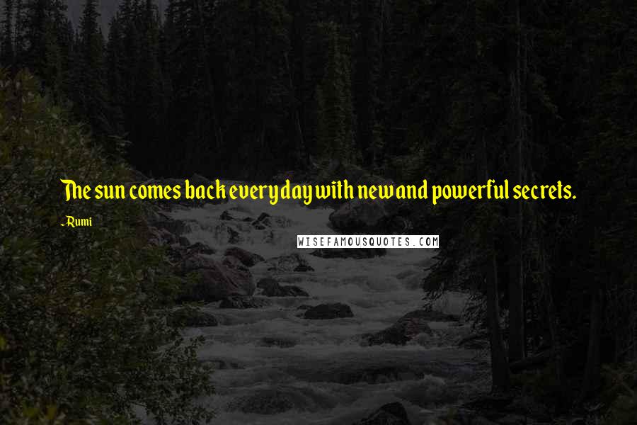Rumi Quotes: The sun comes back every day with new and powerful secrets.