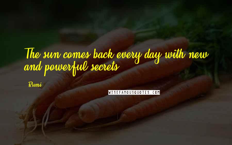Rumi Quotes: The sun comes back every day with new and powerful secrets.