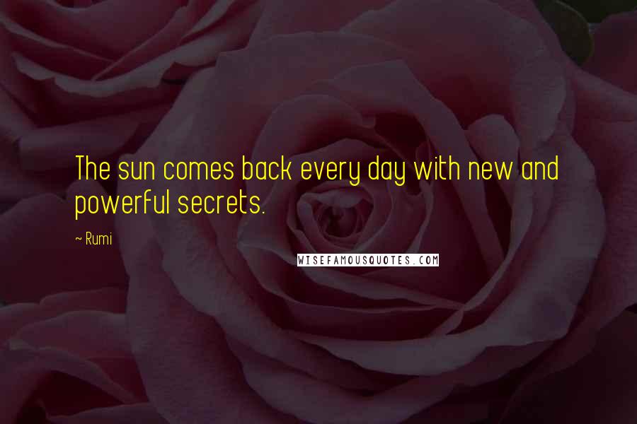Rumi Quotes: The sun comes back every day with new and powerful secrets.