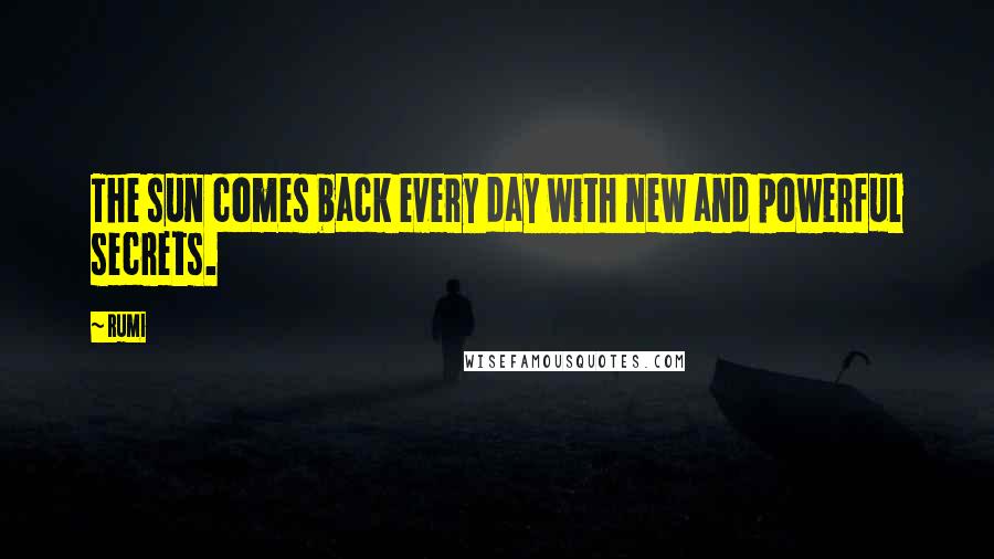 Rumi Quotes: The sun comes back every day with new and powerful secrets.