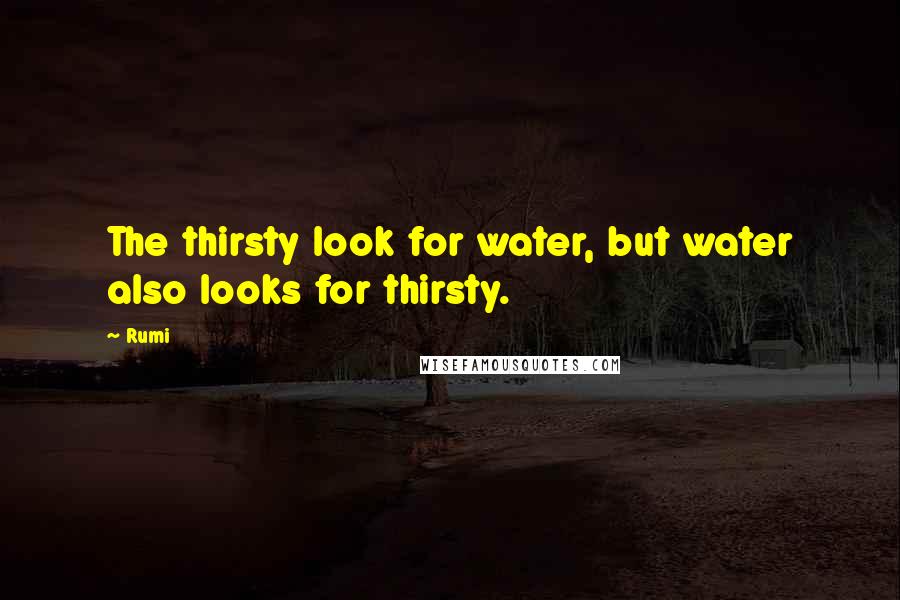 Rumi Quotes: The thirsty look for water, but water also looks for thirsty.