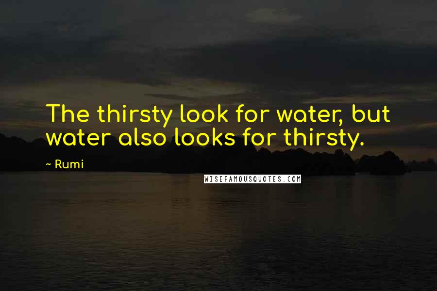 Rumi Quotes: The thirsty look for water, but water also looks for thirsty.