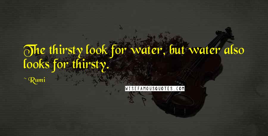 Rumi Quotes: The thirsty look for water, but water also looks for thirsty.