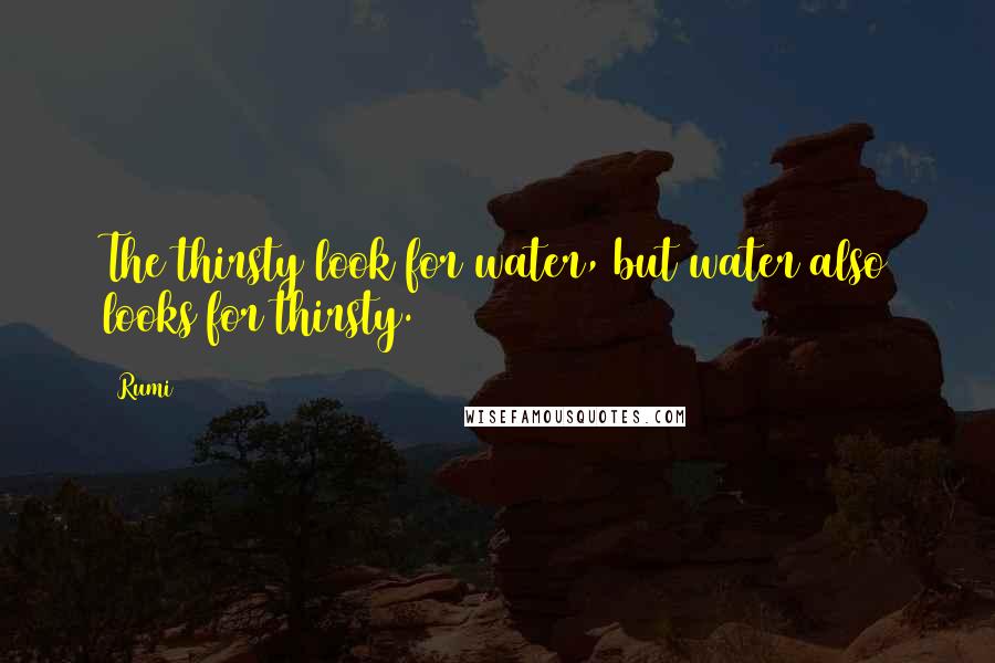 Rumi Quotes: The thirsty look for water, but water also looks for thirsty.