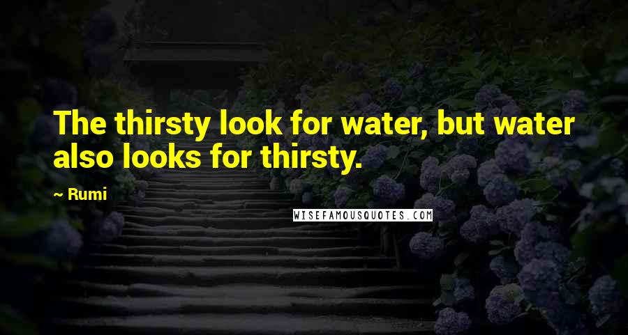 Rumi Quotes: The thirsty look for water, but water also looks for thirsty.