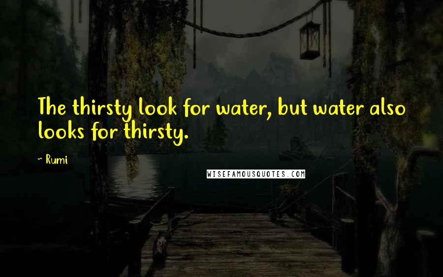 Rumi Quotes: The thirsty look for water, but water also looks for thirsty.