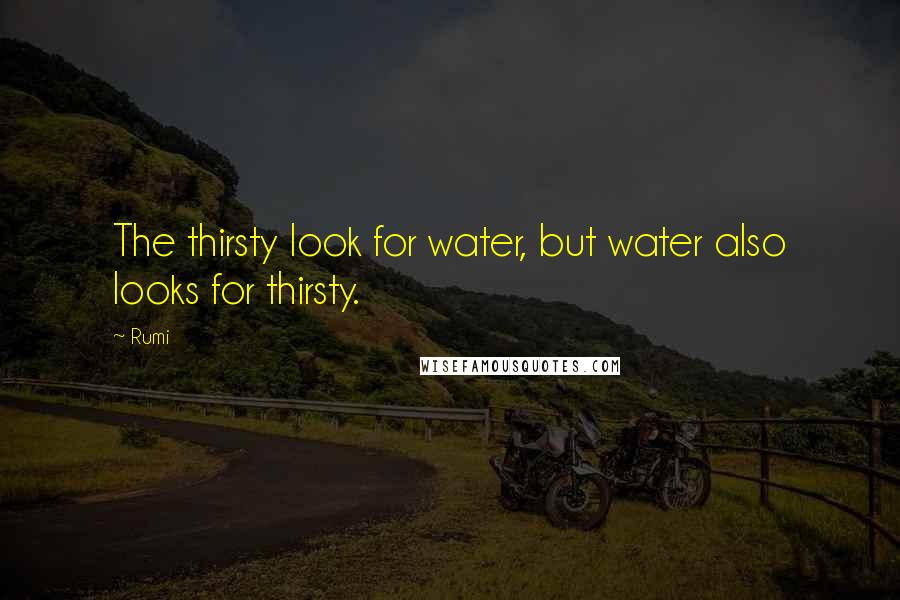 Rumi Quotes: The thirsty look for water, but water also looks for thirsty.