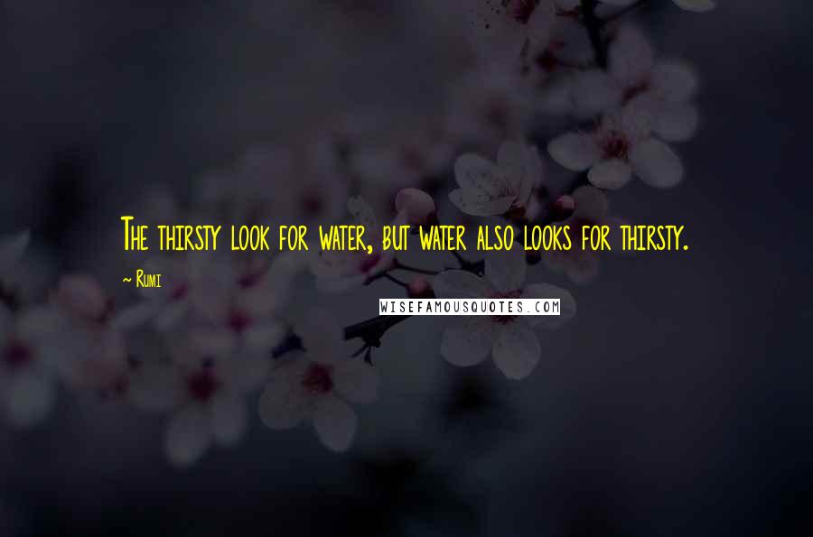 Rumi Quotes: The thirsty look for water, but water also looks for thirsty.