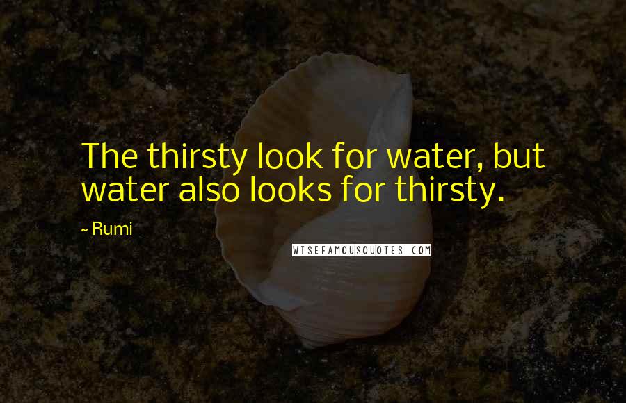 Rumi Quotes: The thirsty look for water, but water also looks for thirsty.