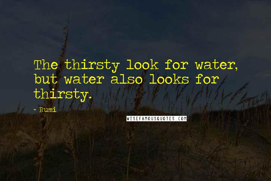 Rumi Quotes: The thirsty look for water, but water also looks for thirsty.