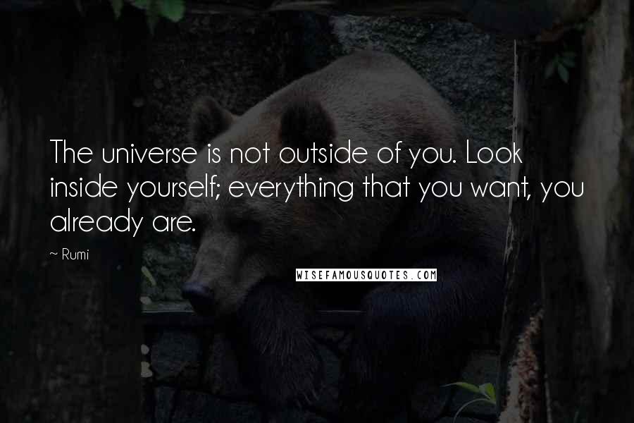 Rumi Quotes: The universe is not outside of you. Look inside yourself; everything that you want, you already are.