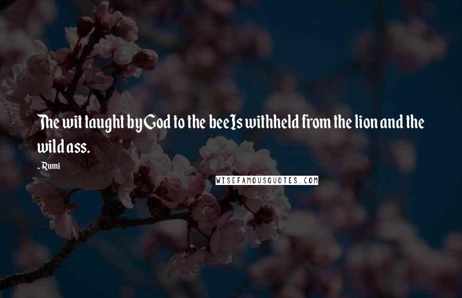 Rumi Quotes: The wit taught by God to the beeIs withheld from the lion and the wild ass.