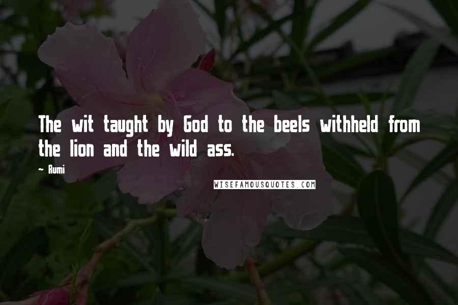Rumi Quotes: The wit taught by God to the beeIs withheld from the lion and the wild ass.