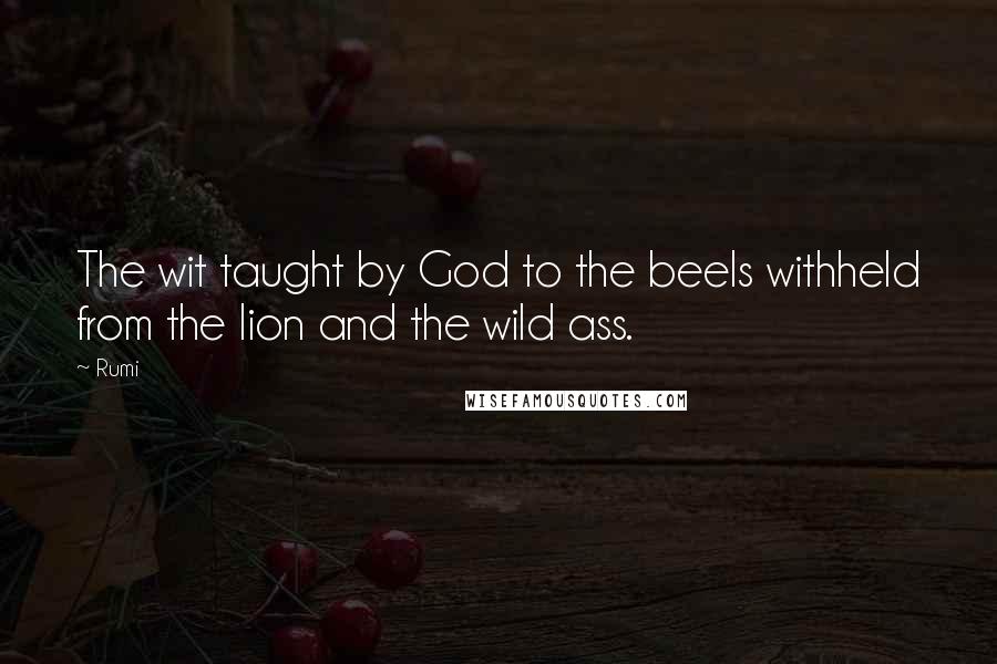 Rumi Quotes: The wit taught by God to the beeIs withheld from the lion and the wild ass.